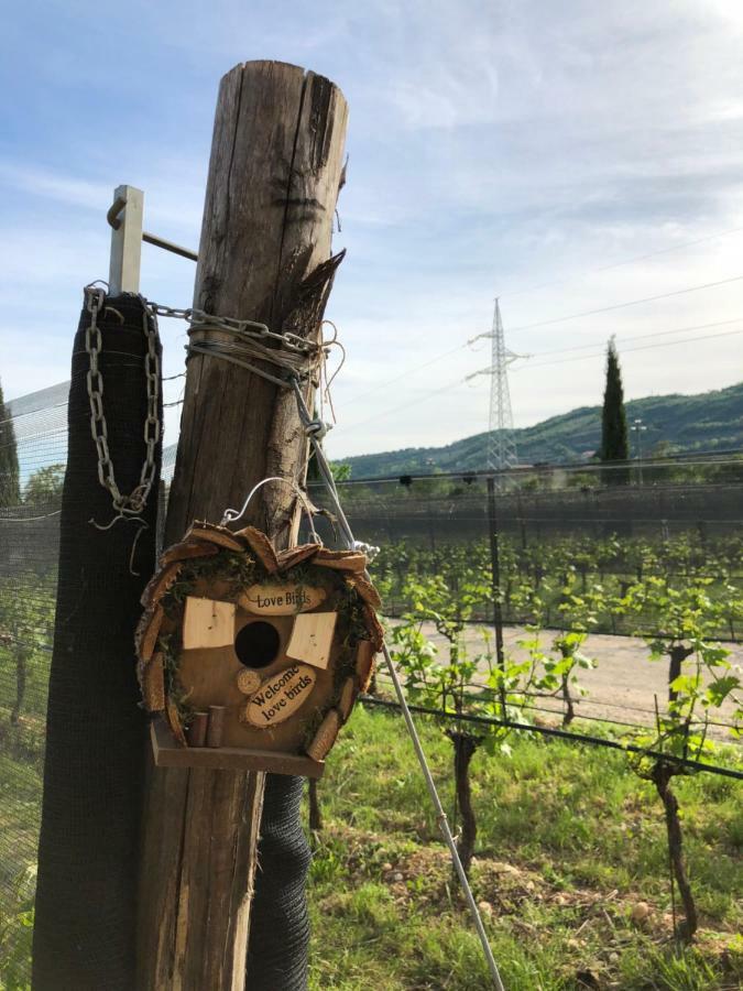 Maso Maroni Agriturismo Quinto di Valpantena エクステリア 写真