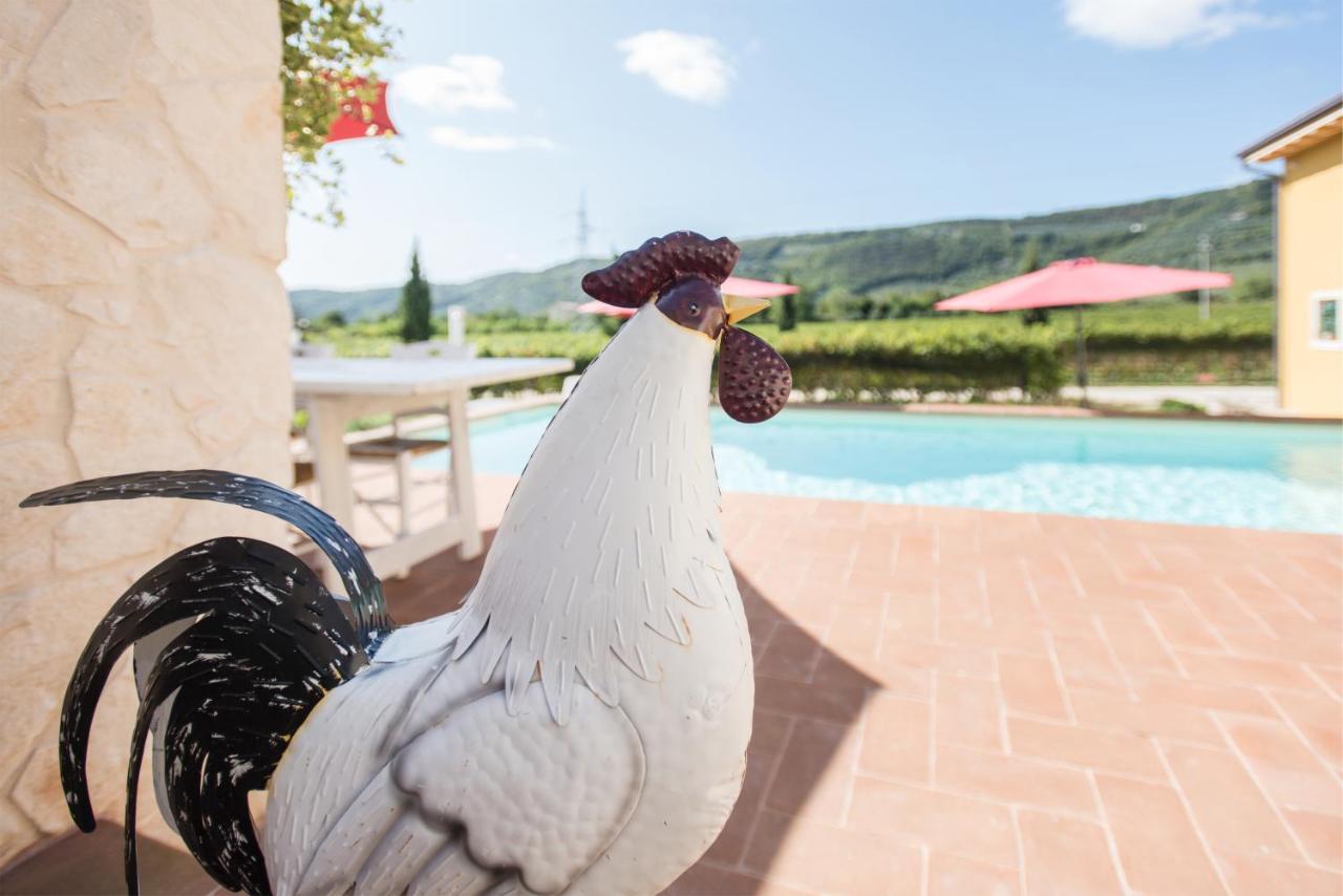 Maso Maroni Agriturismo Quinto di Valpantena エクステリア 写真